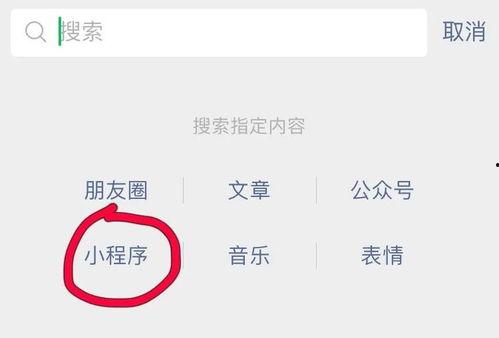 小程序爆料大全最新,揭秘最新热门应用动态与功能更新