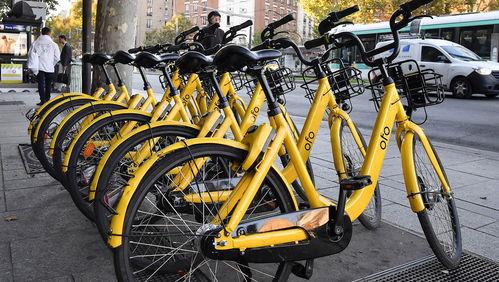 共享单车最新消息爆料,行业洗牌加速，未来格局将如何演变？