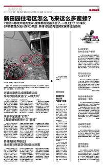 瑞安爆料新闻最新,揭秘娱乐圈最新劲爆事件